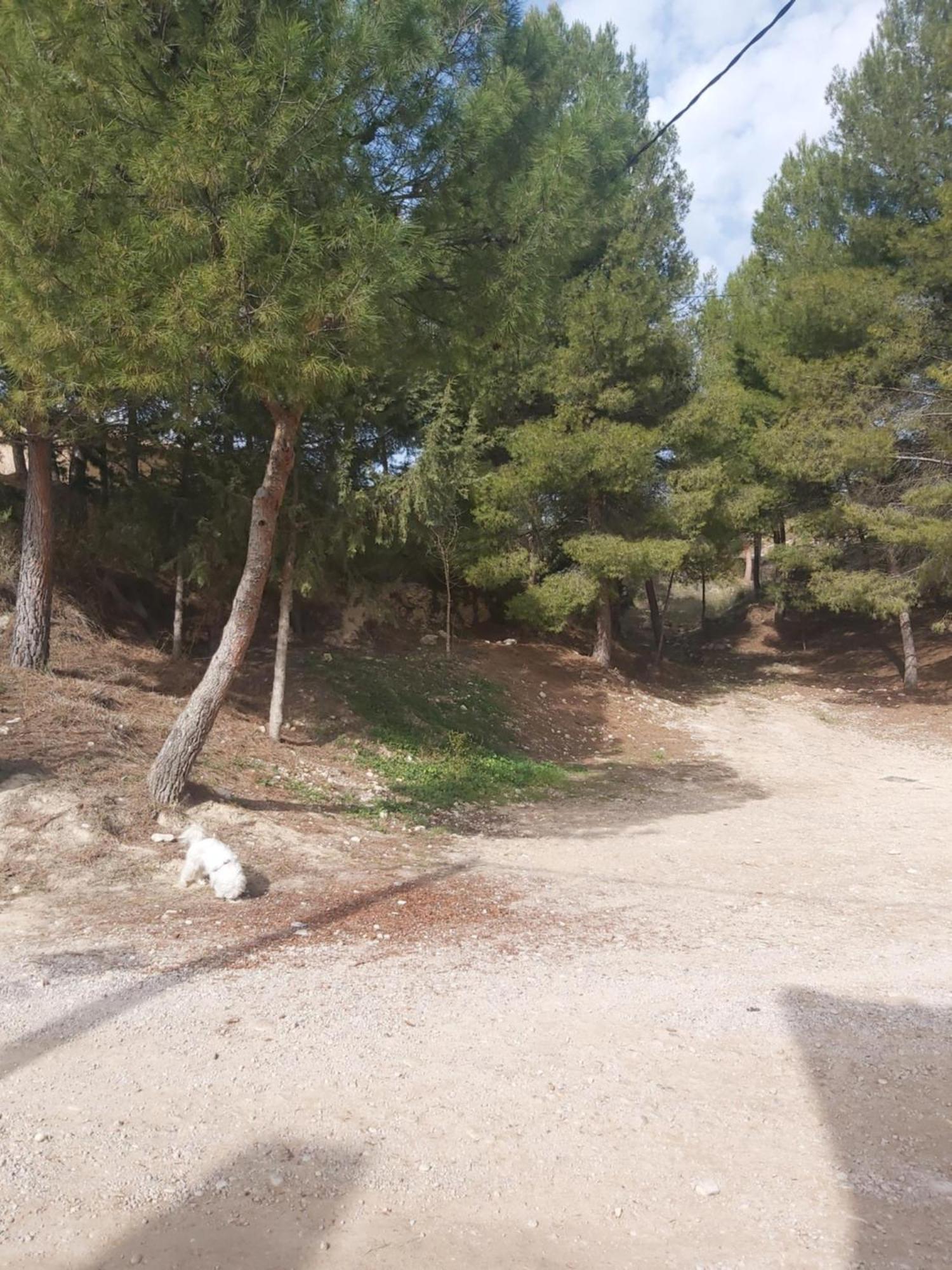 Casa Rural Puente Del Segura เอลเช เด ลาเซียร์รา ภายนอก รูปภาพ